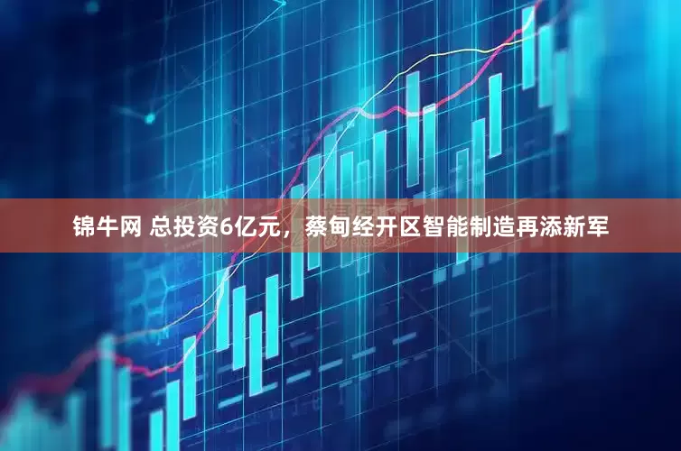 锦牛网 总投资6亿元，蔡甸经开区智能制造再添新军