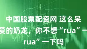 中国股票配资网 这么呆萌可爱的奶龙，你不想“rua”一下吗