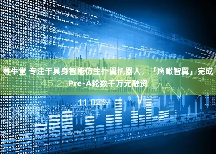 寻牛堂 专注于具身智能仿生扑翼机器人，「鹰瞰智翼」完成Pre-A轮数千万元融资